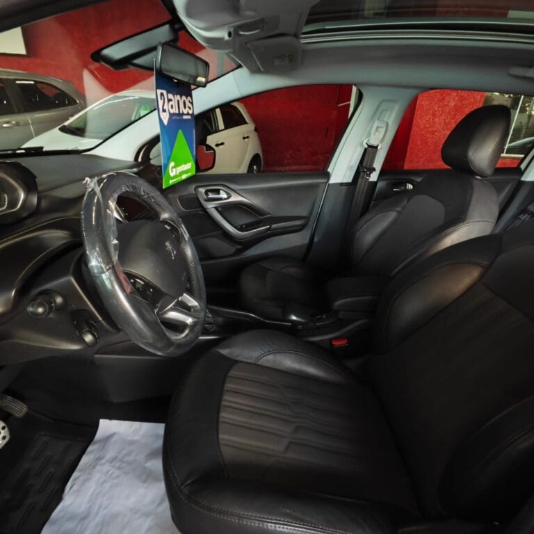 2008 GRIFFE 1.6 FLEX