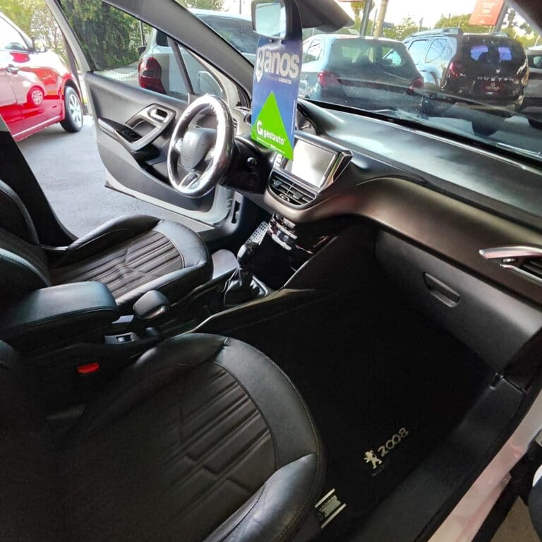 2008 GRIFFE 1.6 FLEX